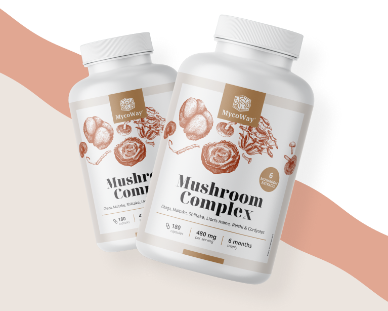 6 sorgfältig ausgewählte asiatische Pilze.		