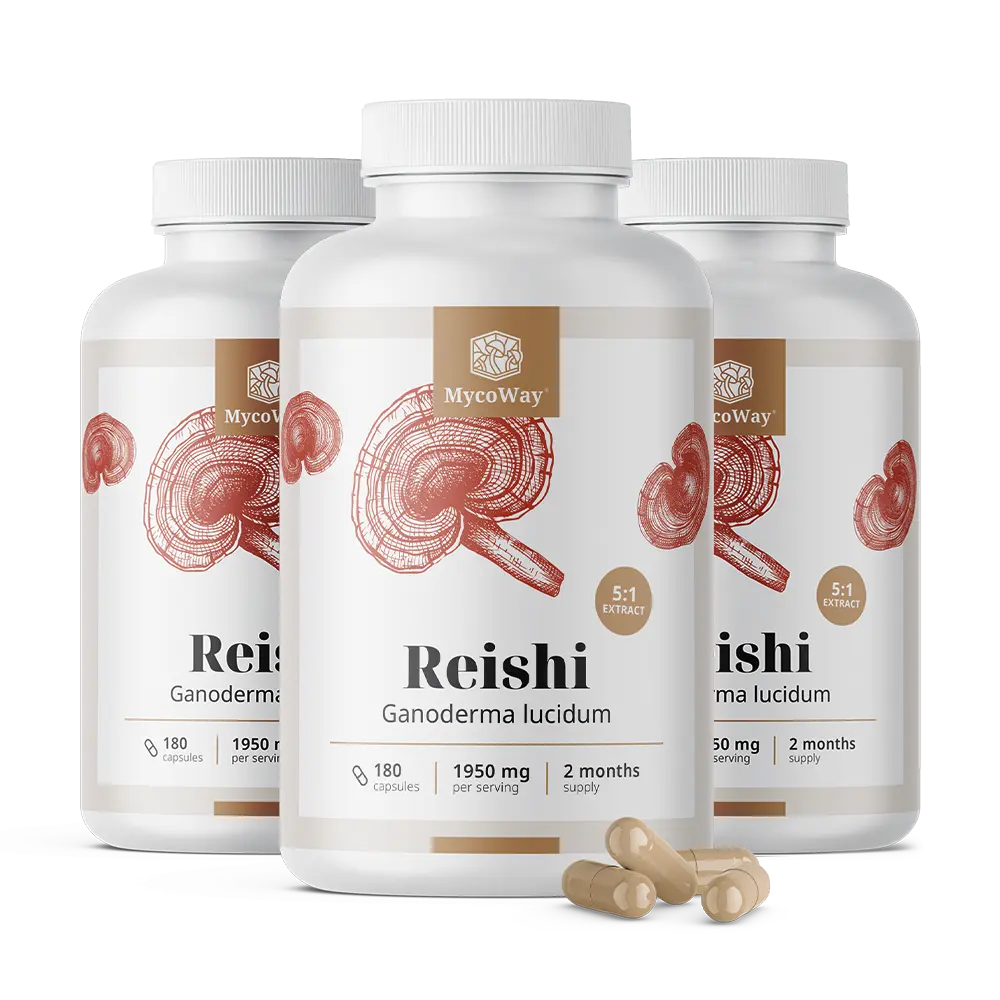 Reishi 1950 mg - Extrakt 5:1