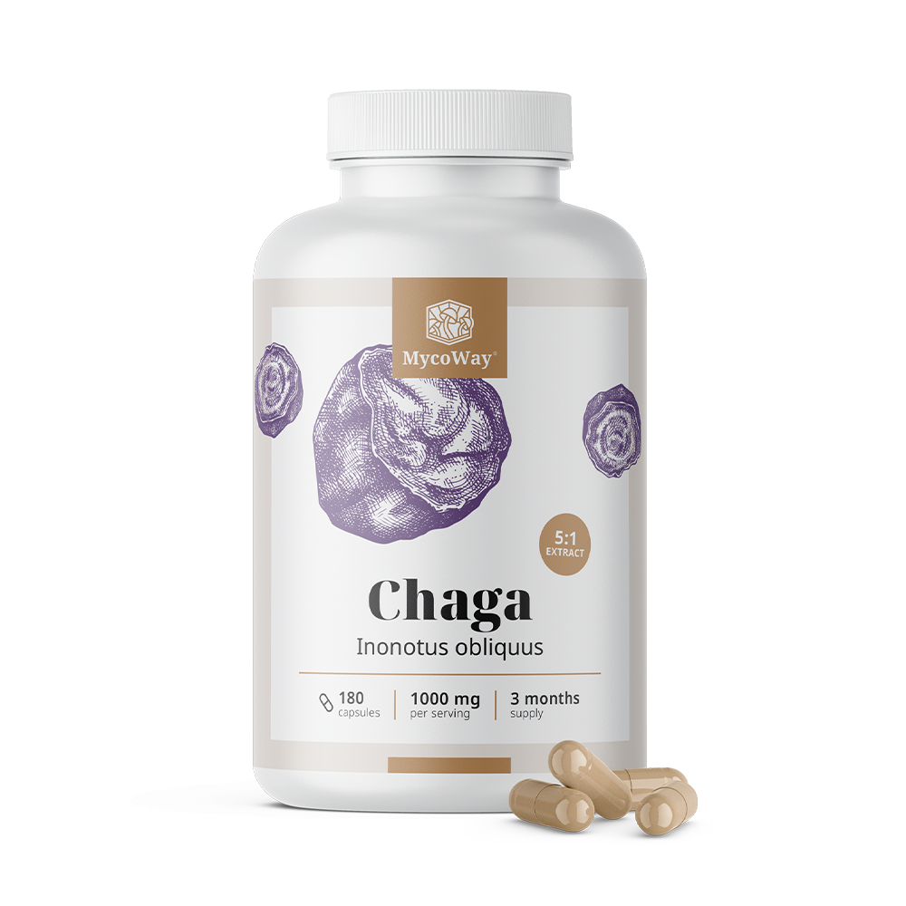 Chaga 1000 mg - Extrakt 5:1