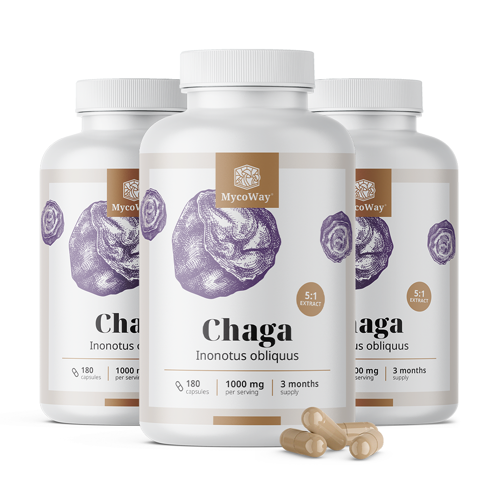 Chaga 1000 mg - Extrakt 5:1