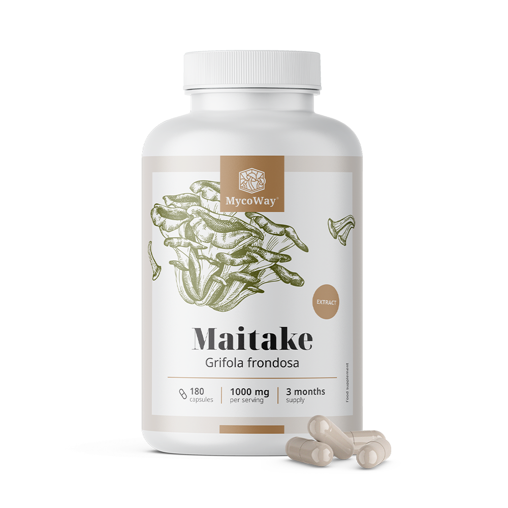 Maitake 1000 mg - Extrakt