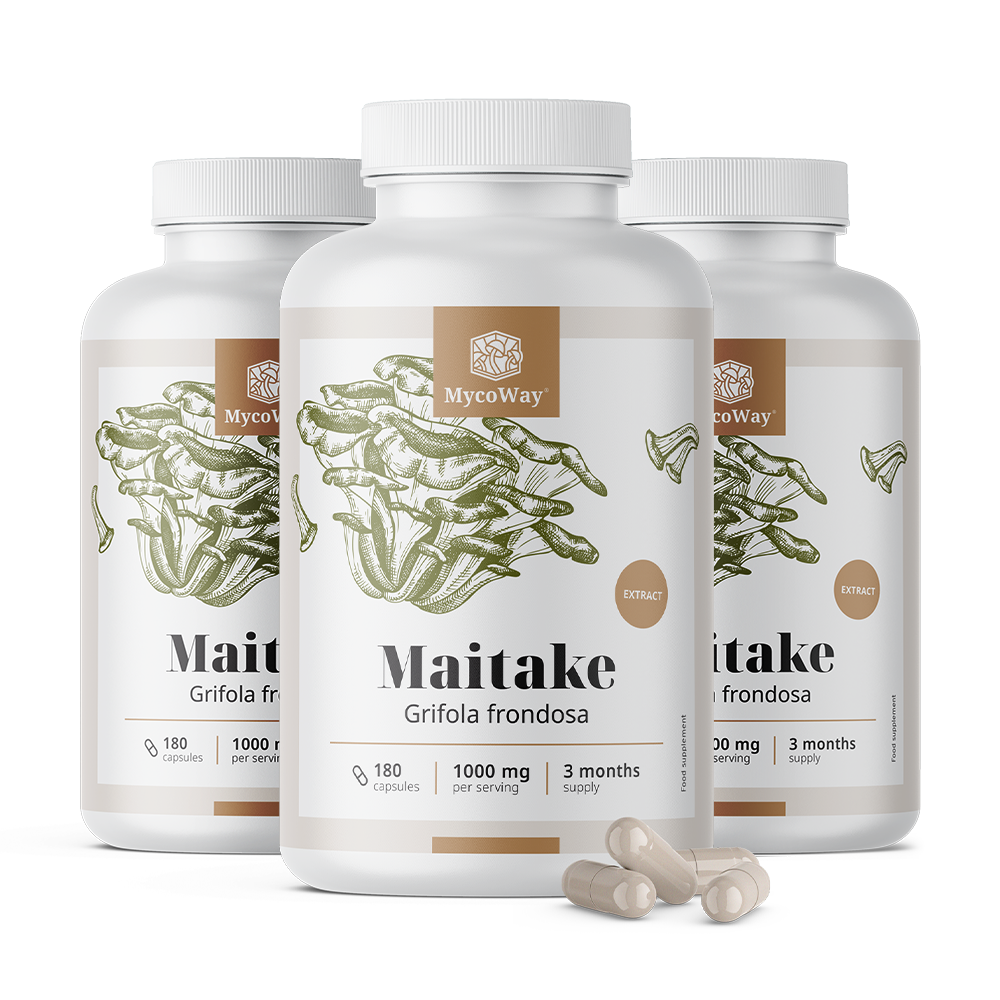 Maitake 1000 mg - Extrakt