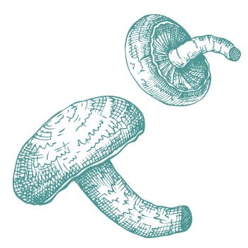 Unterstützen Sie Ihren Körper