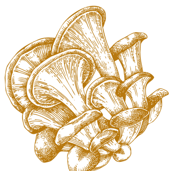 Einzigartige natürliche Unterstützung zur Stärkung von Körper und Geist