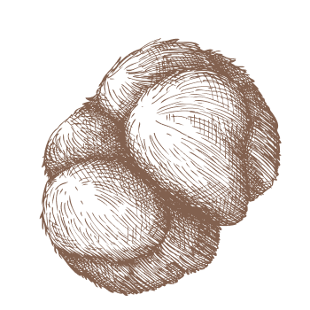 Erhöhen Sie Ihre geistige Schärfe