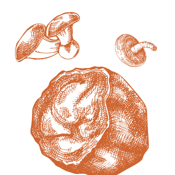 Bringen Sie Ihr Körper ins Gleichgewicht