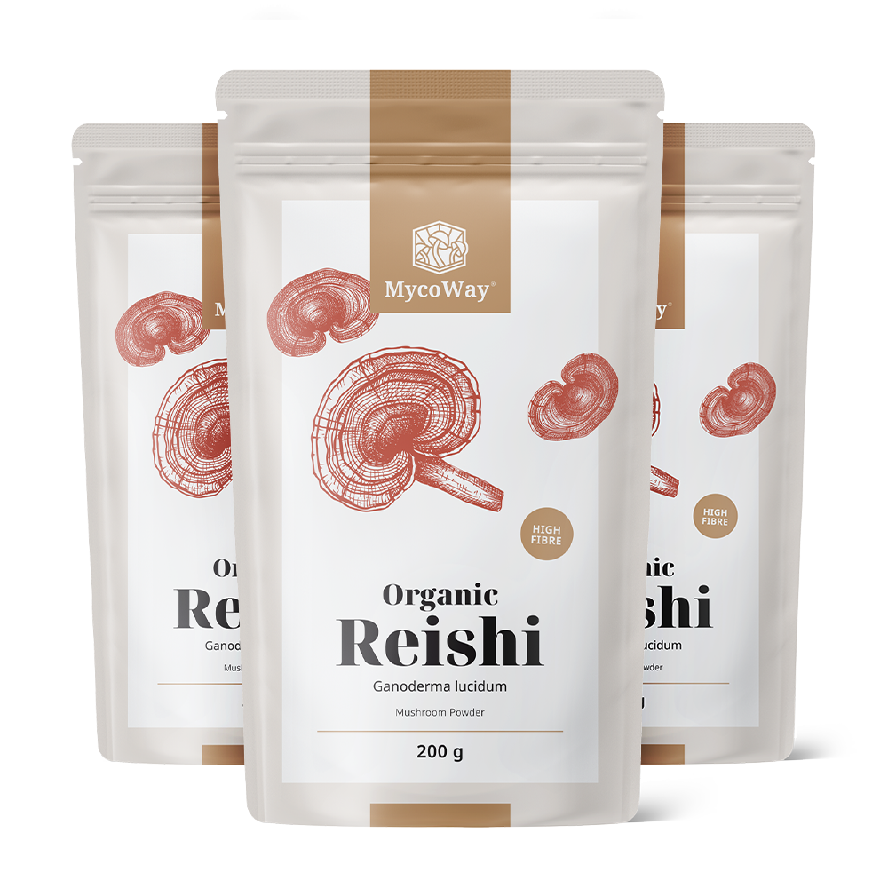 BIO Reishi in Pulverform