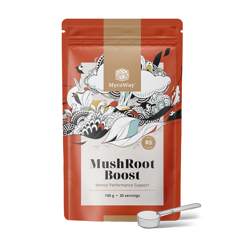 MushRoot Boost - Getränk für geistige Leistungsfähigkeit.