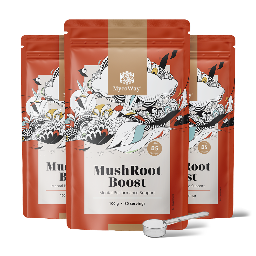 MushRoot Boost - Getränk für geistige Leistungsfähigkeit