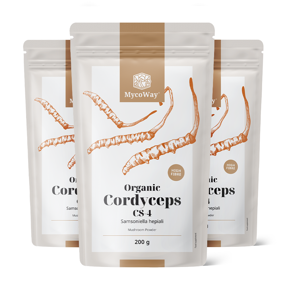 BIO Cordyceps in Pulverform
