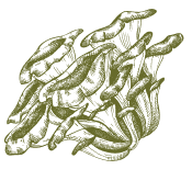 Sorgen Sie für Ihren Körper mit den Geschenken, die die Natur bietet.