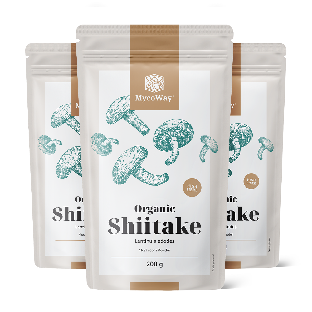 BIO Shiitake in Pulverform