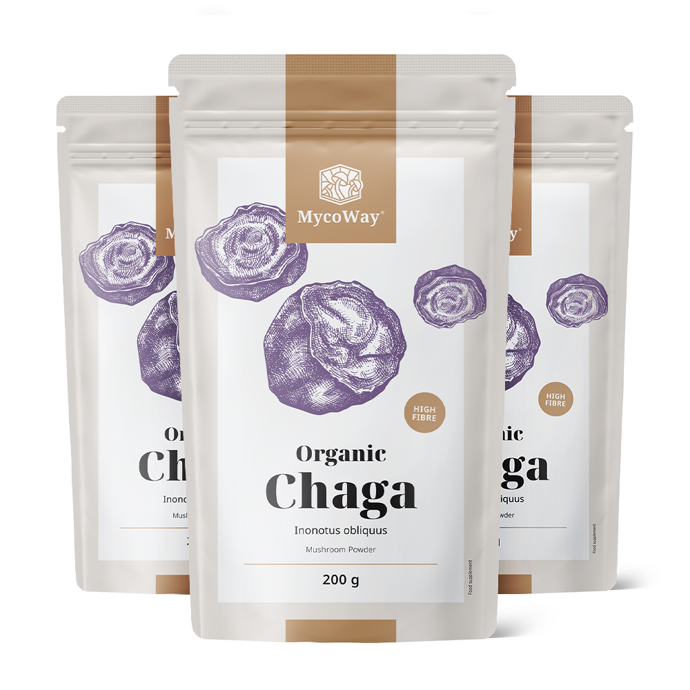 BIO Chaga Pulver