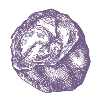 Naturgeheimnis für ein ausgewogenes Leben